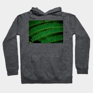 Serrated Hoodie